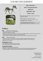 Vente de cheval : Nomie Doucet